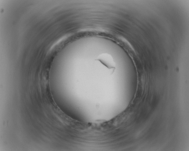 X0000083061064200702232015