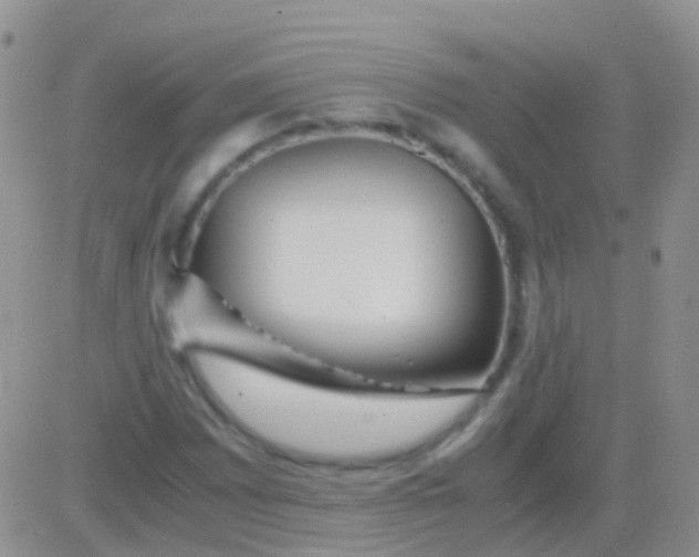 X0000083061065200702232015