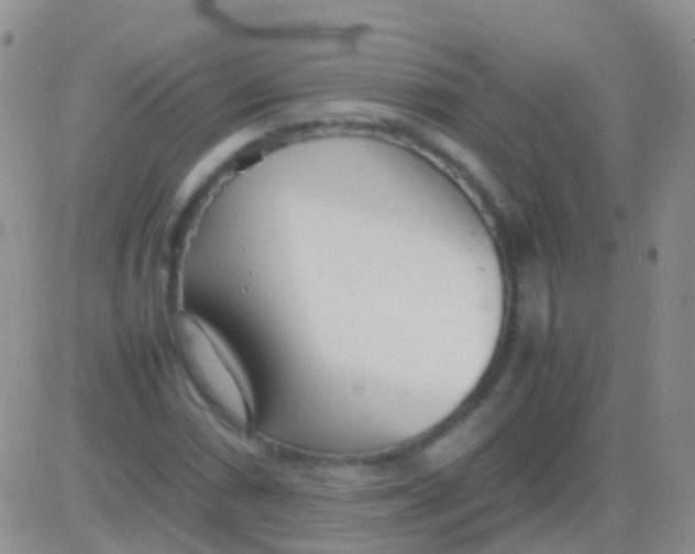 X0000083061066200702232015