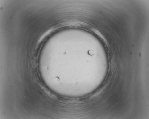 X0000083061067200702232015