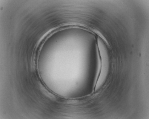 X0000083061068200702232015