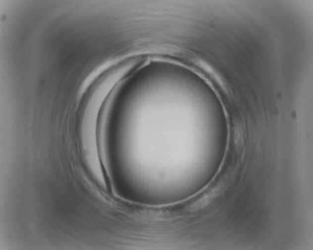 X0000083061069200702232015