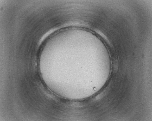 X0000083061070200702232015