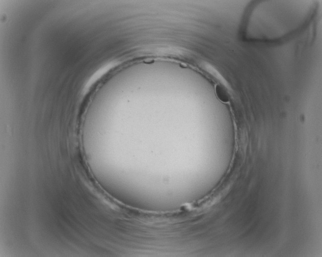 X0000083061071200702232015