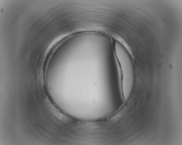 X0000083061072200702232015