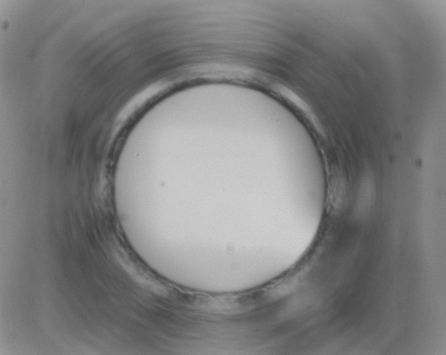 X0000083061074200702232015