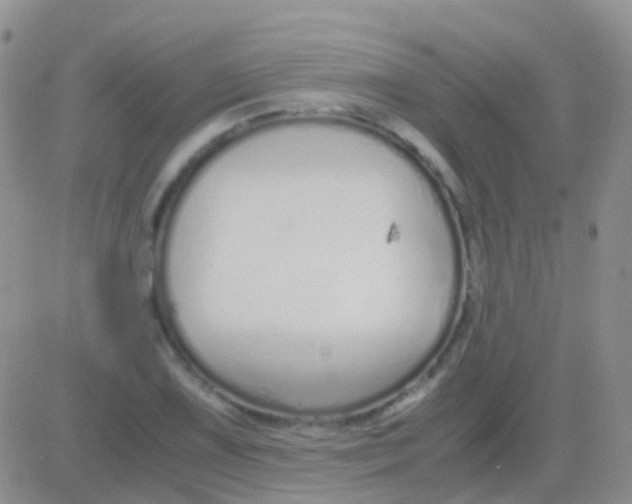 X0000083061075200702232015