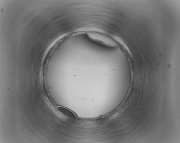 X0000083061076200702232015