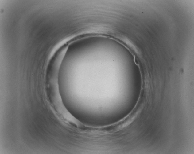 X0000083061077200702232015