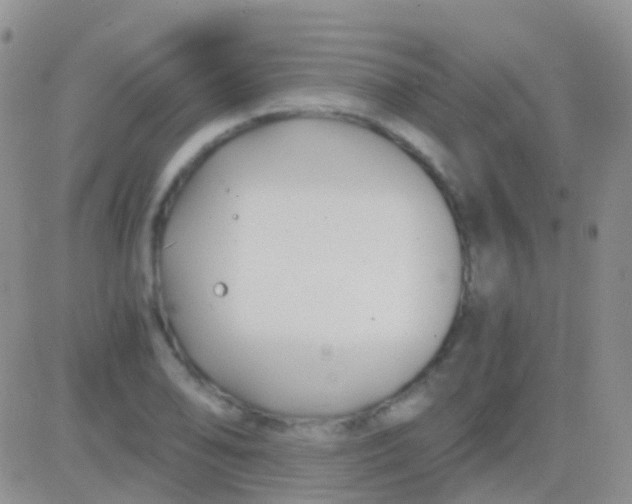 X0000083061078200702232015