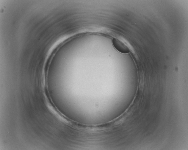 X0000083061080200702232015