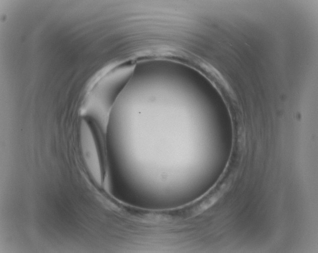 X0000083061081200702232015