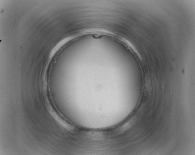 X0000083061082200702232015