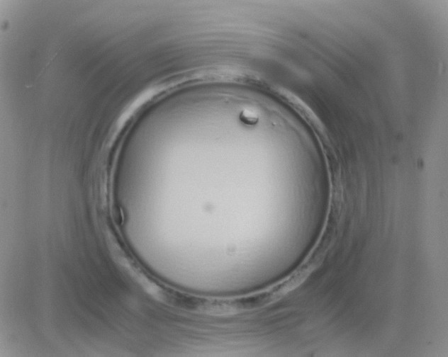 X0000083061083200702232015