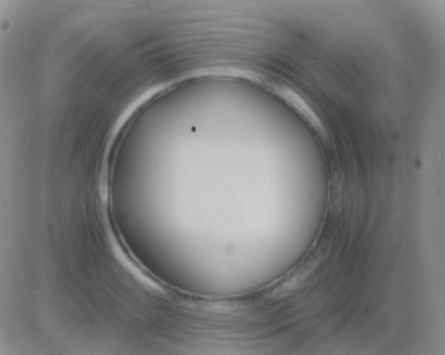 X0000083061084200702232015