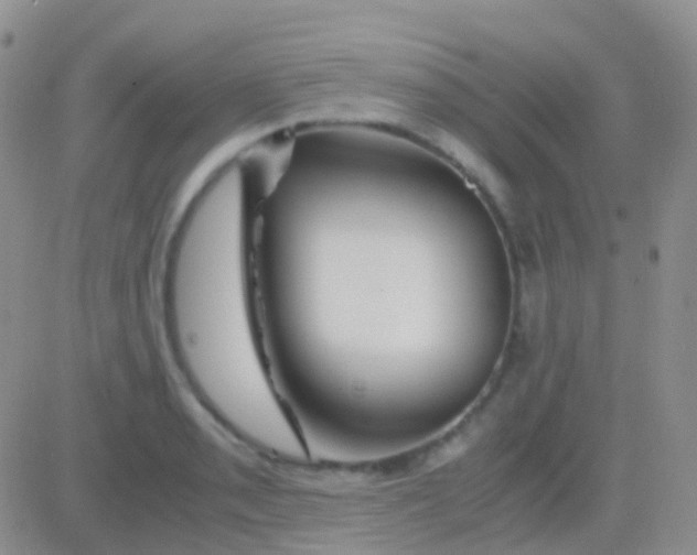 X0000083061085200702232015