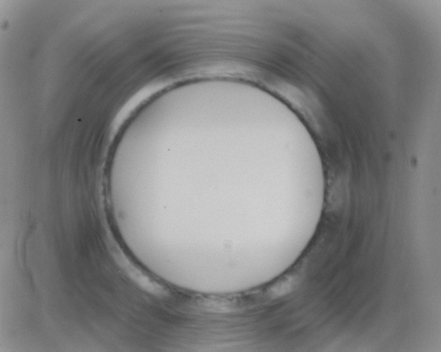 X0000083061086200702232015