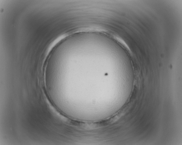 X0000083061087200702232015