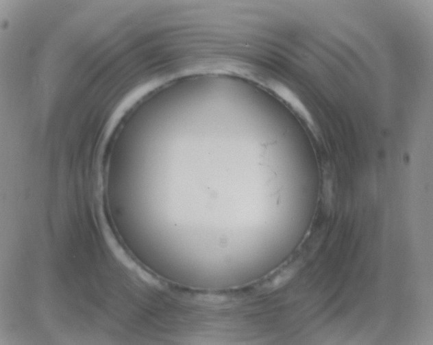 X0000083061088200702232015