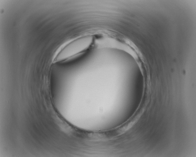 X0000083061089200702232015