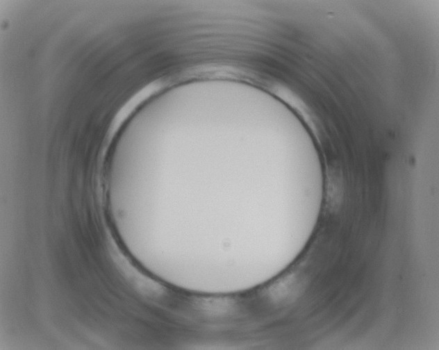 X0000083061090200702232015