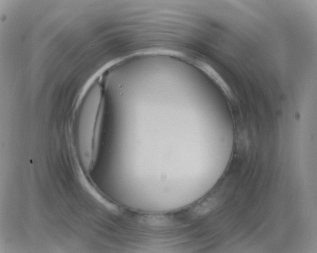 X0000083061092200702232015