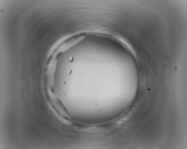 X0000083061093200702232015