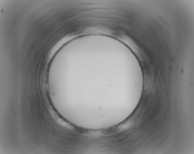 X0000083061094200702232015