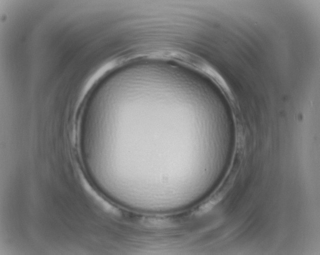 X0000083061095200702232015