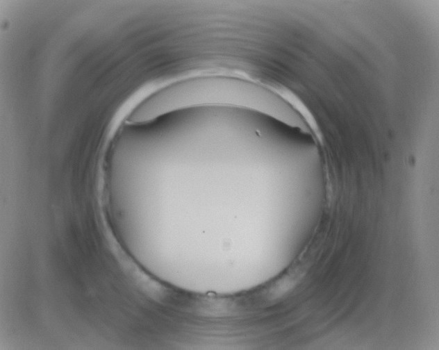 X0000083061096200702232015