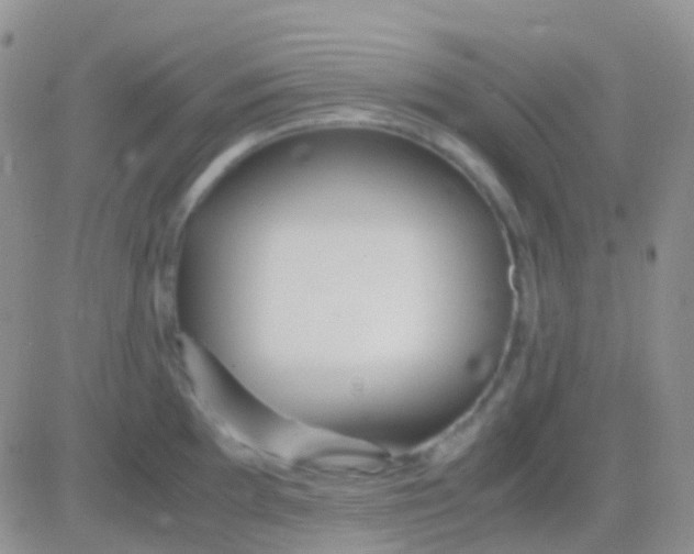 X0000083061097200702232015