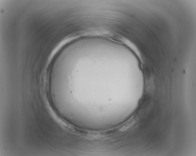 X0000083061099200702232015