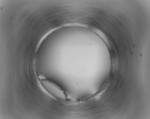 X0000083061100200702232015