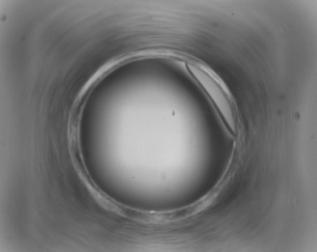 X0000083061101200702232015