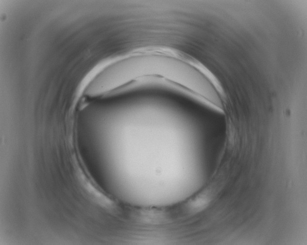 X0000083061102200702232015