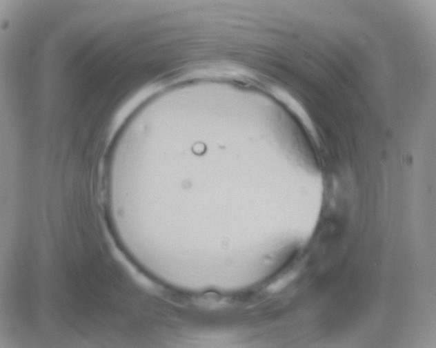 X0000083061103200702232015