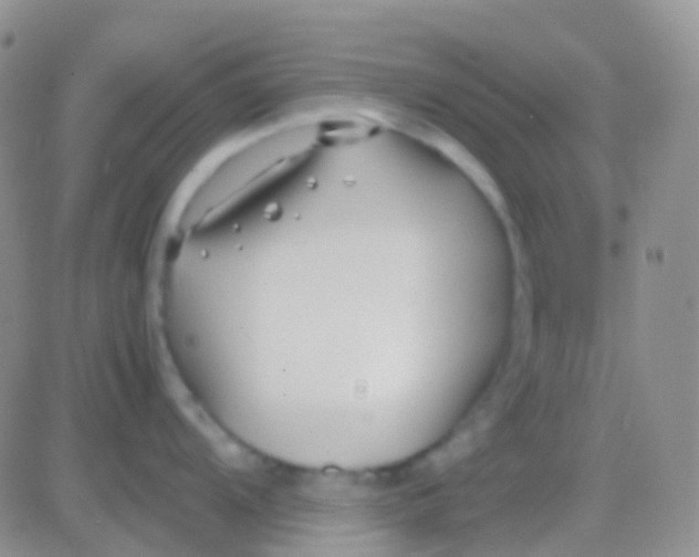 X0000083061104200702232015