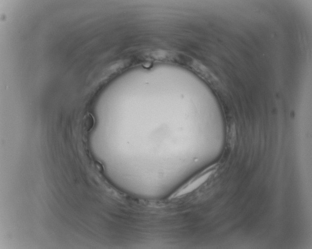 X0000083061105200702232014