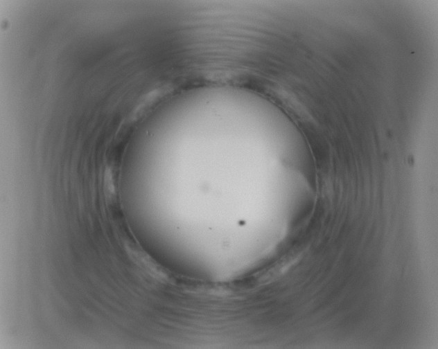 X0000083061106200702232014