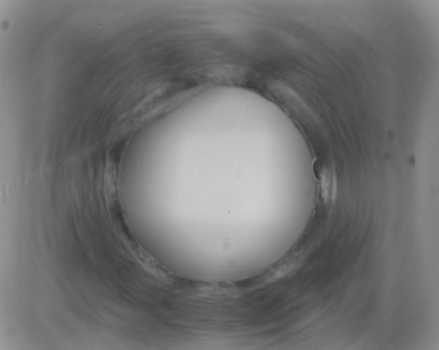 X0000083061107200702232014