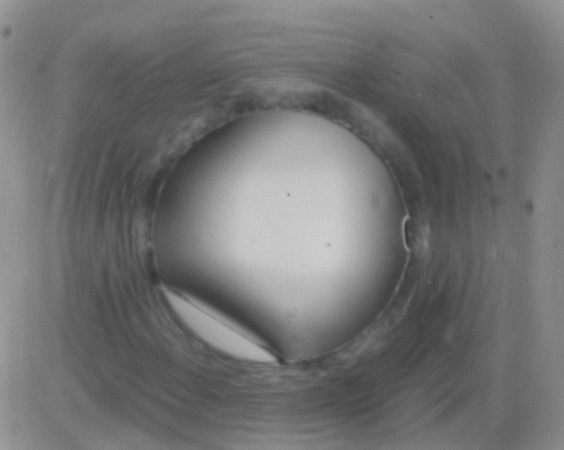 X0000083061108200702232014