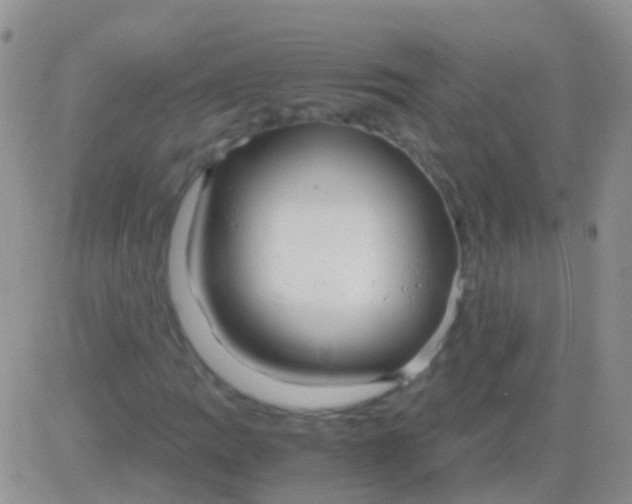 X0000083061109200702232014