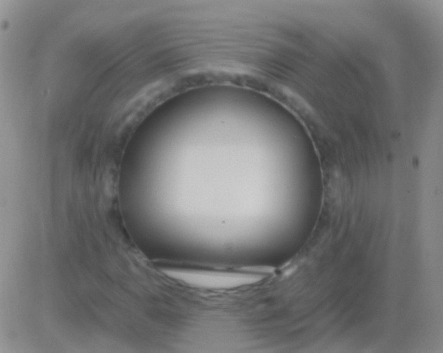 X0000083061110200702232014