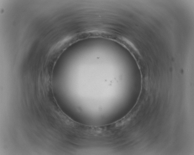 X0000083061111200702232014