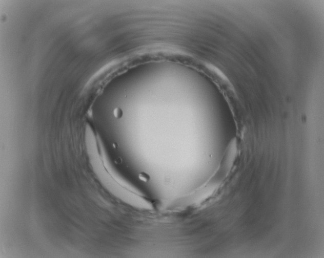 X0000083061112200702232014