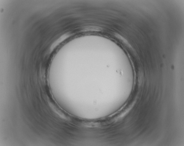 X0000083061113200702232014