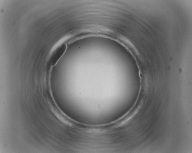 X0000083061114200702232014