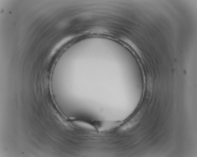 X0000083061115200702232014