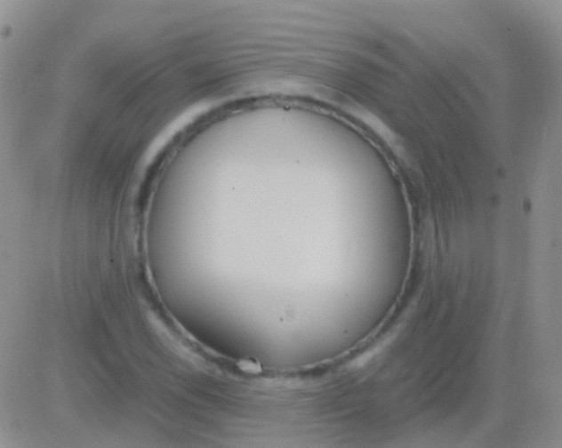 X0000083061118200702232014