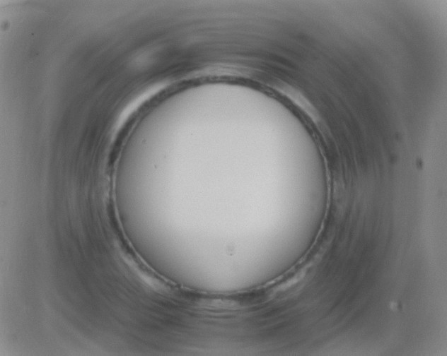 X0000083061119200702232014